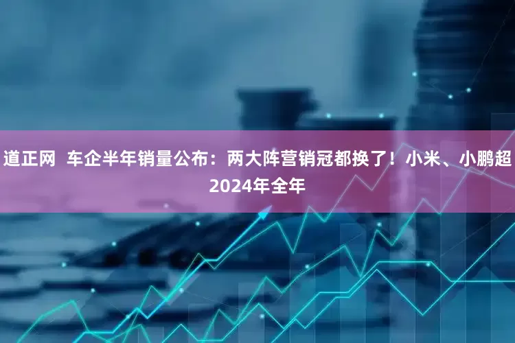 道正网  车企半年销量公布：两大阵营销冠都换了！小米、小鹏超2024年全年