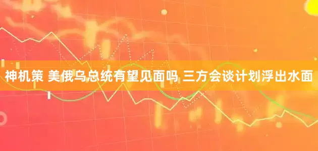 神机策 美俄乌总统有望见面吗 三方会谈计划浮出水面