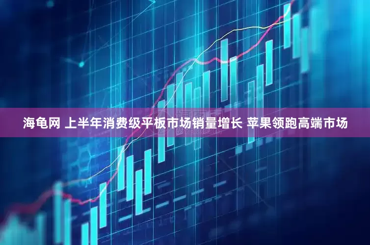 海龟网 上半年消费级平板市场销量增长 苹果领跑高端市场
