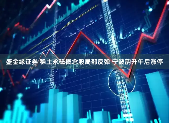 盛金缘证券 稀土永磁概念股局部反弹 宁波韵升午后涨停