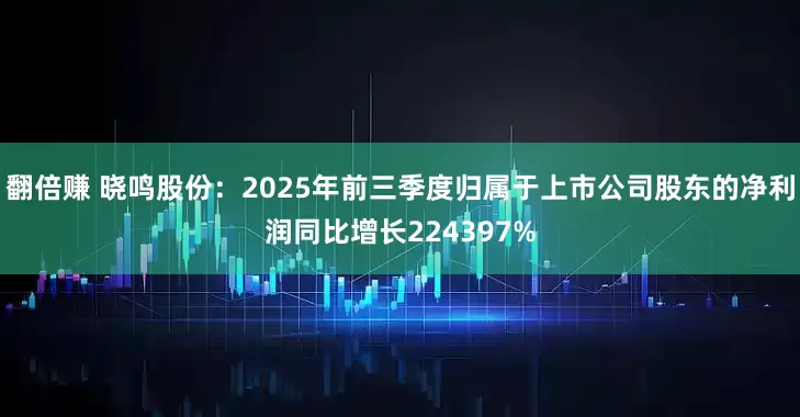 翻倍赚 晓鸣股份:2025年前三季度归属于上市公司股东的净利润同比增长224397%
